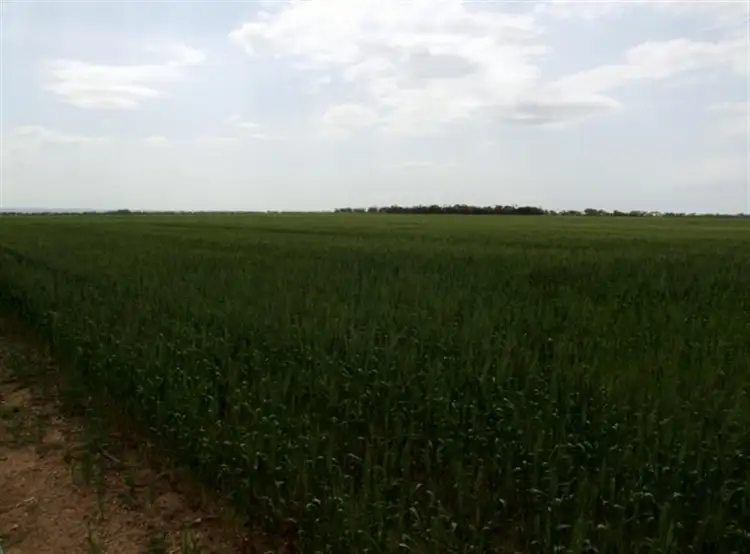 Sixth view of Homely land listing, Lot 104 Nurragi Road, Strathalbyn SA 5255