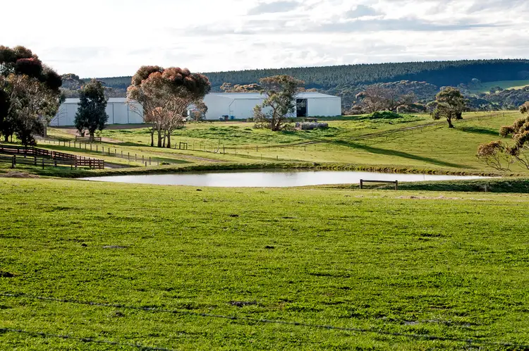 Second view of Homely rural property listing, Cygnet Park Farms, Cassini SA 5223