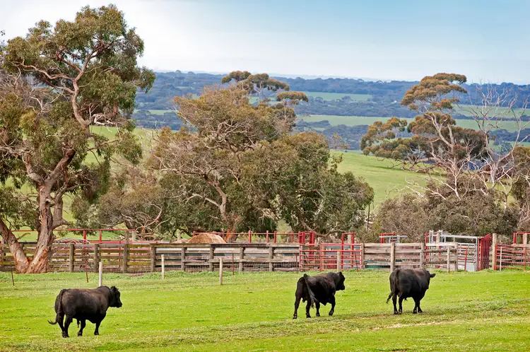 Fourth view of Homely rural property listing, Cygnet Park Farms, Cassini SA 5223