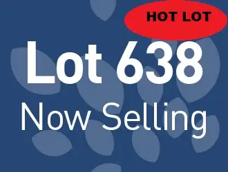 Lot 638 Barfield Rd, Hammond Park WA 6164