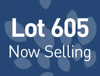 Lot 605 ALBEROD ST, Hammond Park WA 6164