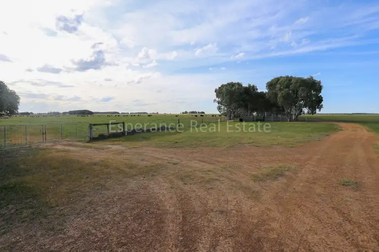 Main view of Homely rural property listing, Lot 21 South Coast Highway, Monjingup WA 6450