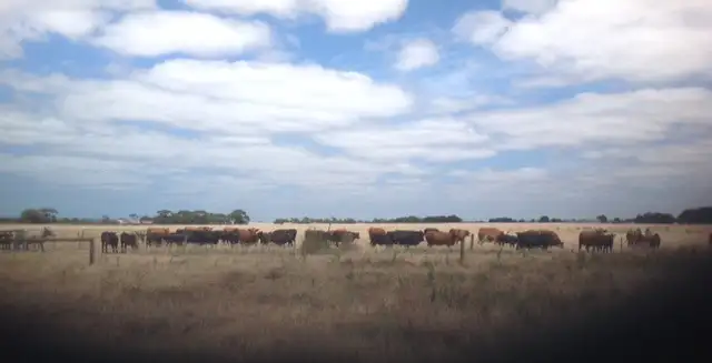 Sixth view of Homely rural property listing, Lot 21 South Coast Highway, Monjingup WA 6450