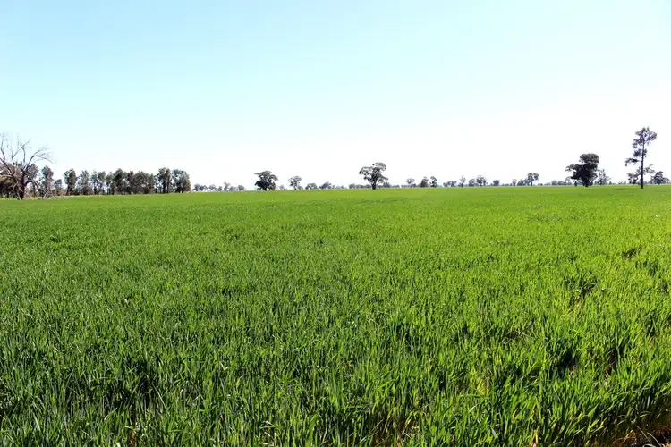 Main view of Homely rural property listing, "Lochiel" Woodstock Road, Berrigan NSW 2712