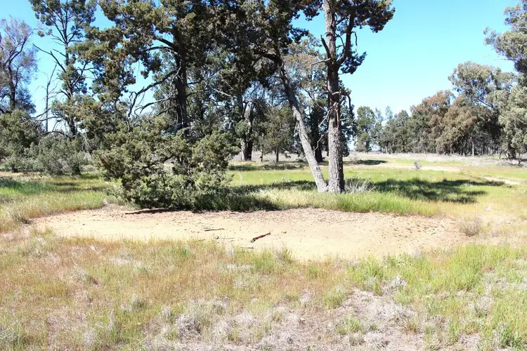 Sixth view of Homely rural property listing, "Lochiel" Woodstock Road, Berrigan NSW 2712