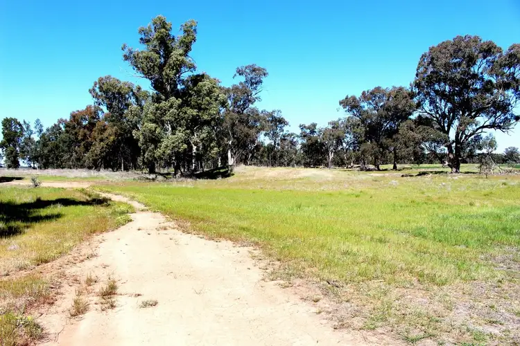 Seventh view of Homely rural property listing, "Lochiel" Woodstock Road, Berrigan NSW 2712
