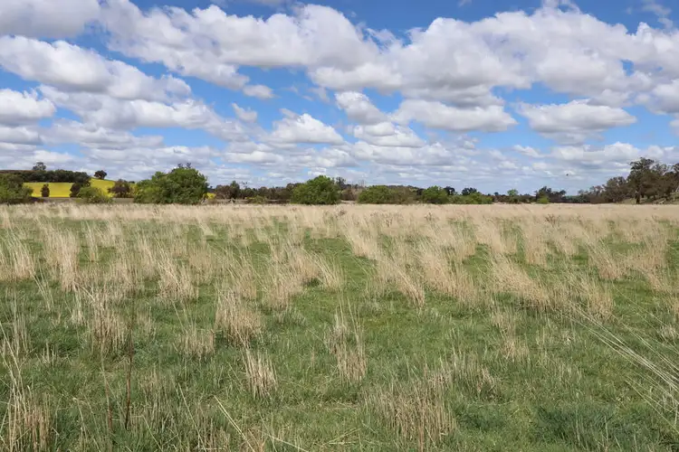 Seventh view of Homely rural property listing, Address available on request