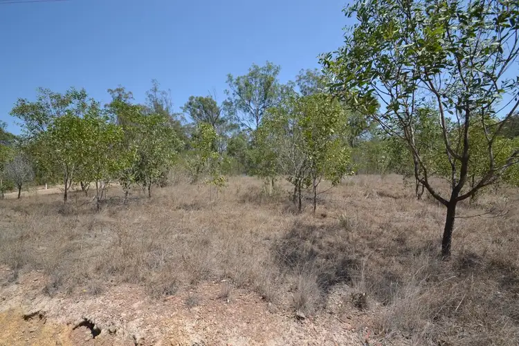 Fifth view of Homely rural property listing, 67 Camp Paddock Rd, Good Night QLD 4671