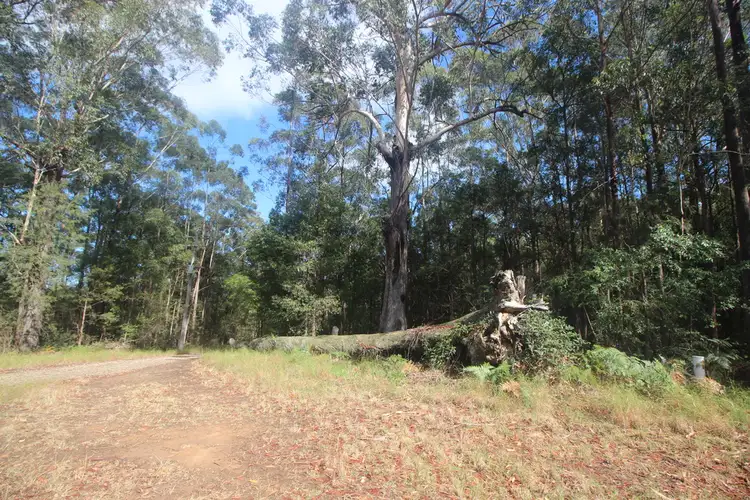 Fifth view of Homely rural property listing, Address available on request