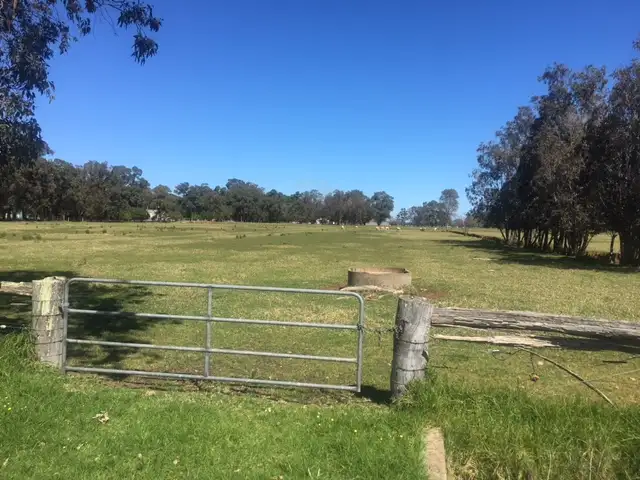 Lot 222 Korijekup Avenue, Harvey WA 6220