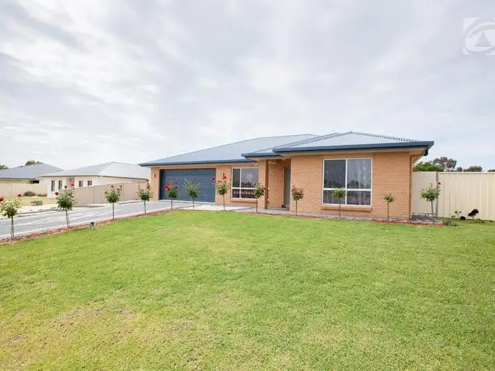 Main view of Homely house listing, 20 PINE GROVE, Naracoorte SA 5271