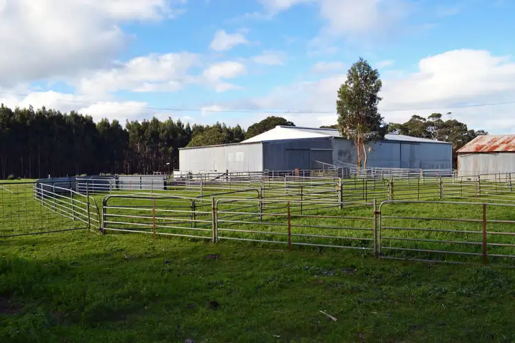 Main view of Homely rural property listing, 85 AHWANS ROAD, Duncan SA 5223