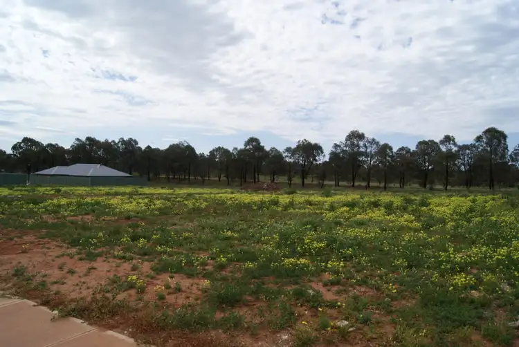 Lot 6000 Evans Crescent, Evanston Gardens SA 5116