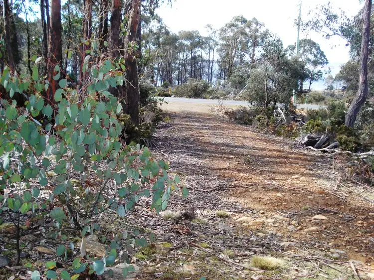 Lot 7, 21 Arthurs Lake Road, Wilburville, Wilburville TAS 7030