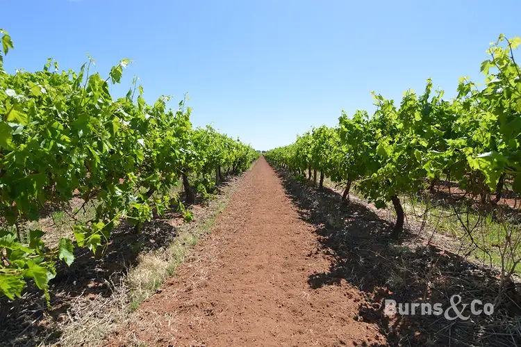 Third view of Homely rural property listing, 92 Fifth Street, Nichols Point VIC 3501