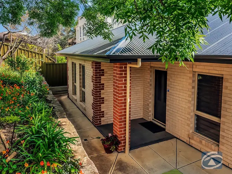 Main view of Homely house listing, 24 Hutchinson Road, Gawler East SA 5118