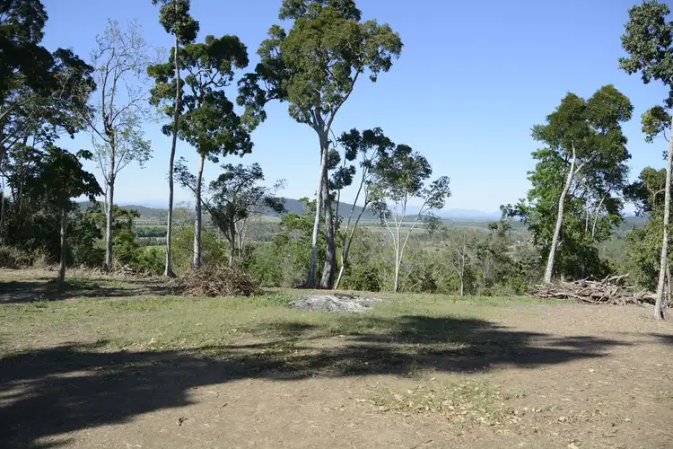 74 Domenica Drive, Sugarloaf QLD 4800
