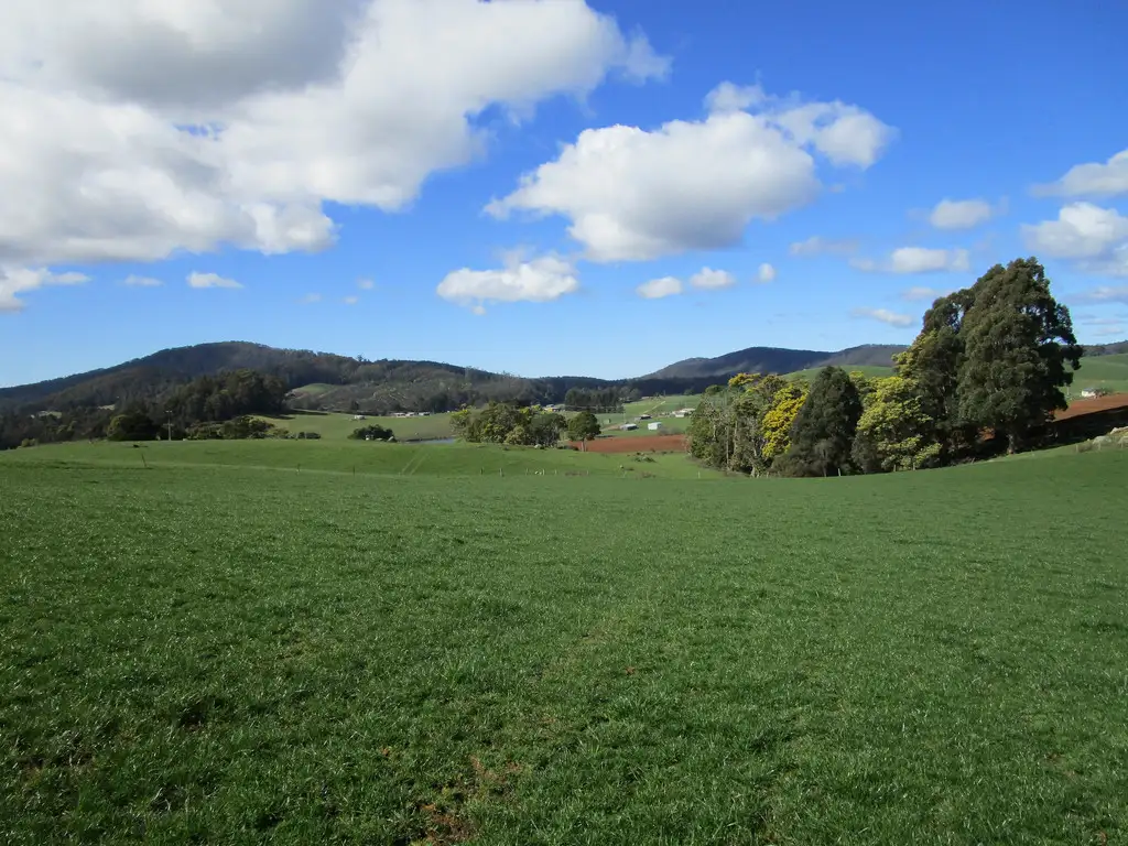 Main view of Homely rural property listing, 1556 Pine Road, Riana TAS 7316