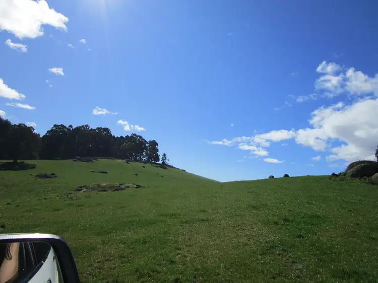 Fifth view of Homely rural property listing, 1556 Pine Road, Riana TAS 7316