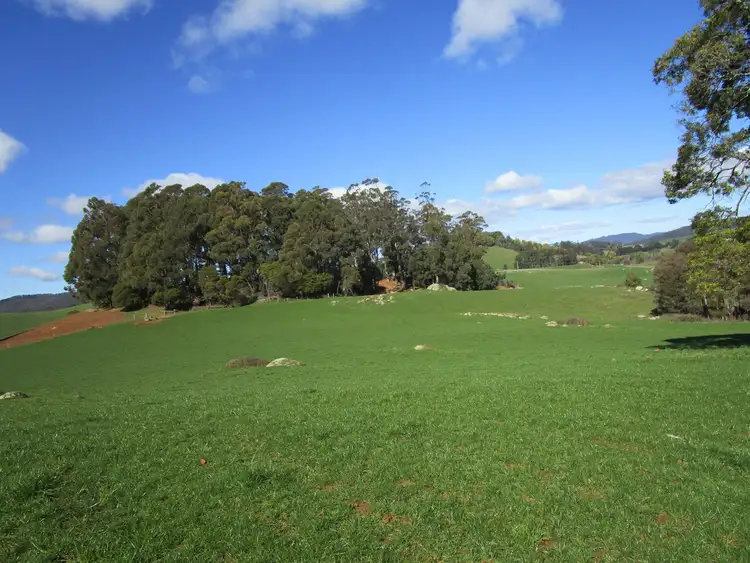 Seventh view of Homely rural property listing, 1556 Pine Road, Riana TAS 7316