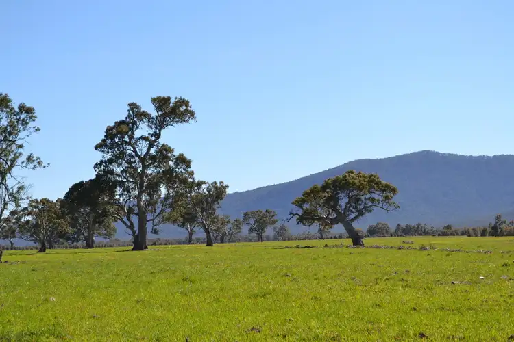 Sixth view of Homely rural property listing, 0 Peacocks Road, Buangor VIC 3375