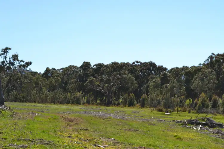 Seventh view of Homely rural property listing, 0 Peacocks Road, Buangor VIC 3375