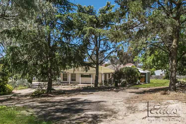 Seventh view of Homely house listing, 89 Specimen Hill Road, Golden Square VIC 3555