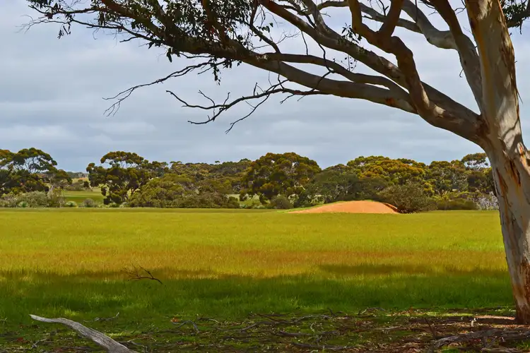 Third view of Homely rural property listing, 115 Christensen Track, Stokes Bay SA 5223