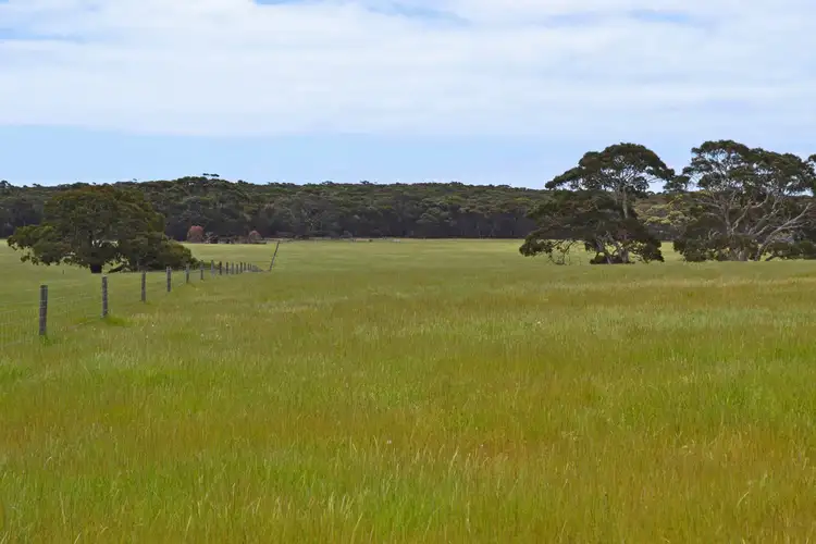 Fourth view of Homely rural property listing, 115 Christensen Track, Stokes Bay SA 5223