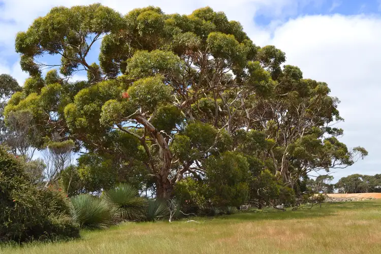 Seventh view of Homely rural property listing, 115 Christensen Track, Stokes Bay SA 5223