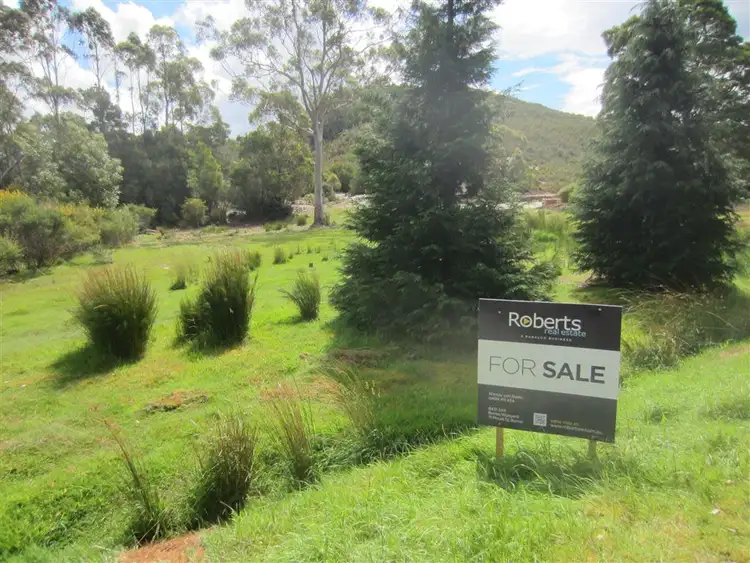Lot 5 Hurst Street, Zeehan TAS 7469