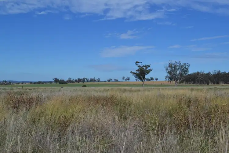 Second view of Homely land listing, Lot 9,10,11 Adams Scrub Road, Delungra NSW 2403
