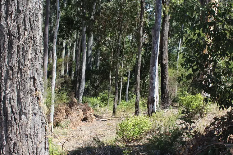 Third view of Homely land listing, 17 Bellbird Drive, Malua Bay NSW 2536