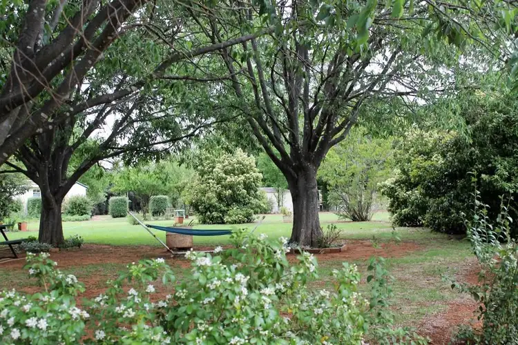 Third view of Homely house listing, 13-15 Belmore Street, Gulgong NSW 2852