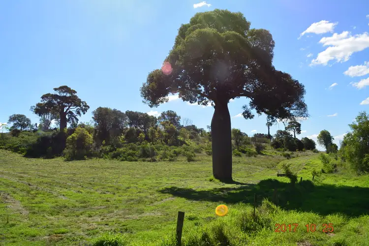 Second view of Homely rural property listing, Address available on request