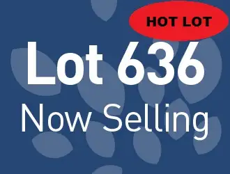 Lot 636 Barfield Rd, Hammond Park WA 6164