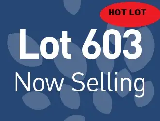 Lot 603 Barfield Rd, Hammond Park WA 6164