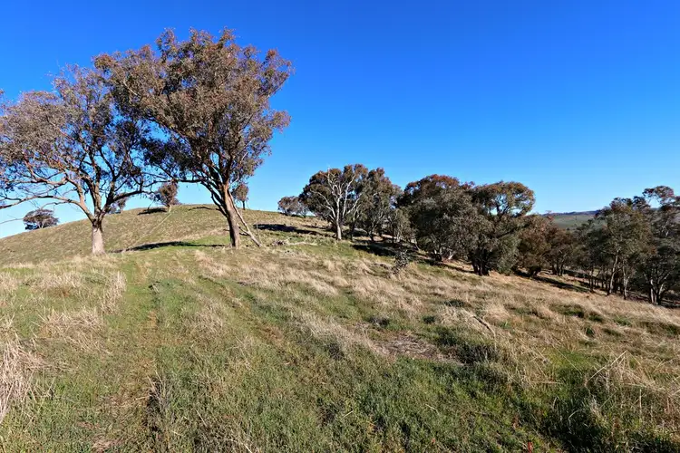 Seventh view of Homely rural property listing, Address available on request