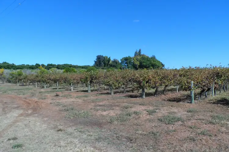 Third view of Homely land listing, 1 & 2 Tarcoola Street, Renmark SA 5341