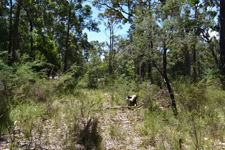 Fourth view of Homely land listing, Lot 111 Jerberra Road (Jerberra), Tomerong NSW 2540