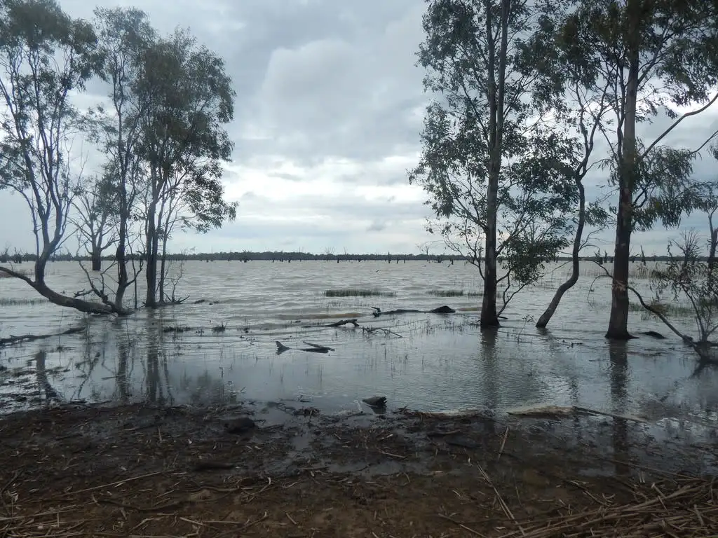 Main view of Homely land listing, Lot 1, Sturt HIghway (Dry Lake Road), Euston NSW 2737