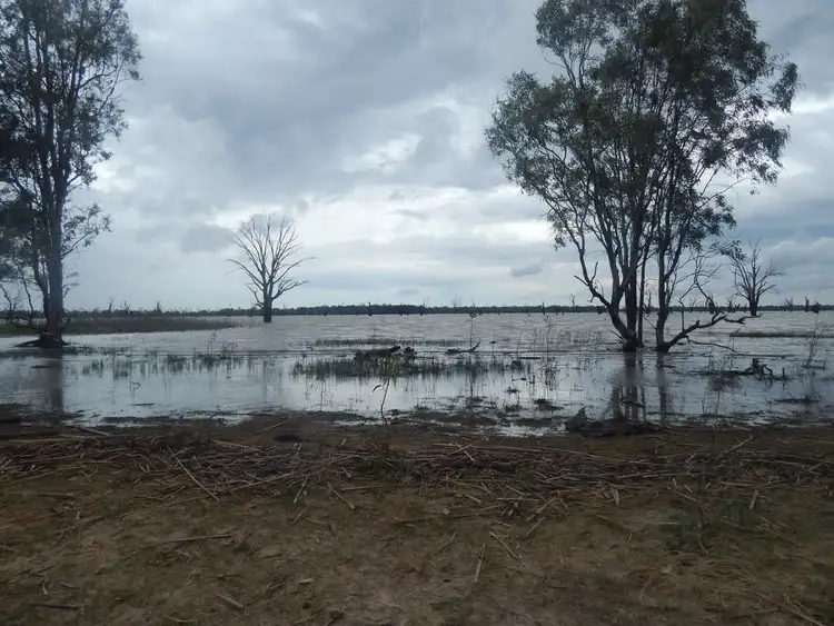 Seventh view of Homely land listing, Lot 1, Sturt HIghway (Dry Lake Road), Euston NSW 2737