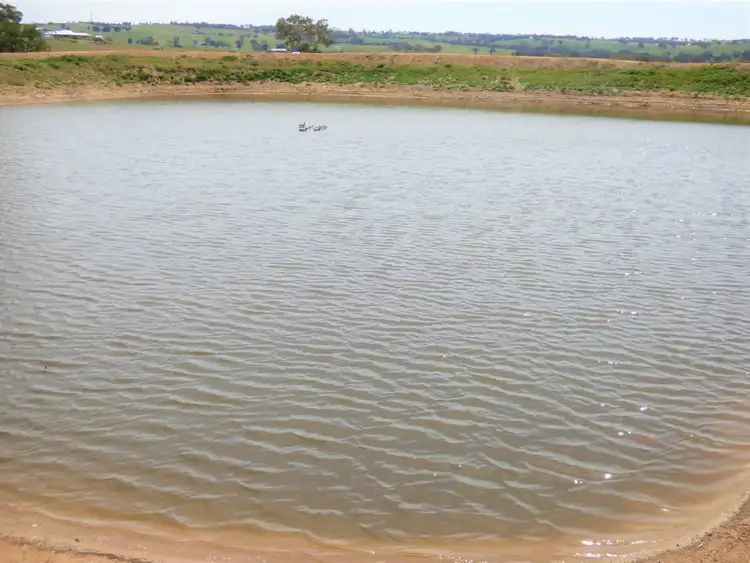 Seventh view of Homely rural property listing, 50 Dananbilla Drive, Young NSW 2594