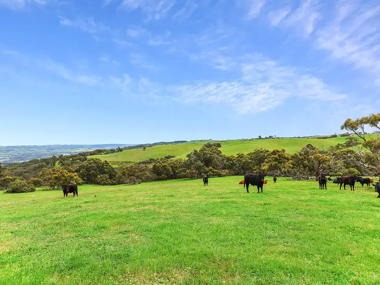 Sixth view of Homely rural property listing, 691 Springmount Road, Inman Valley SA 5211