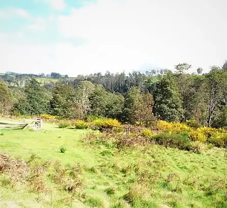 Second view of Homely house listing, 14 Renison Street, Derby TAS 7264