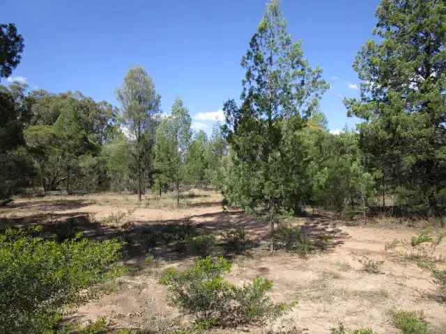 LOT 121 HARWOODS ROAD, Tara QLD 4421
