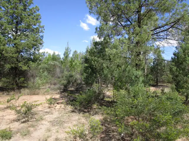 Second view of Homely rural property listing, LOT 121 HARWOODS ROAD, Tara QLD 4421