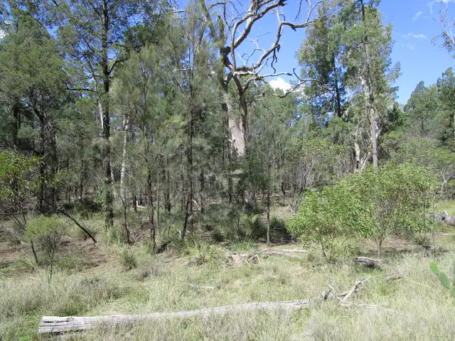 LOT 30 WERANGA NORTH ROAD, Weranga QLD 4405