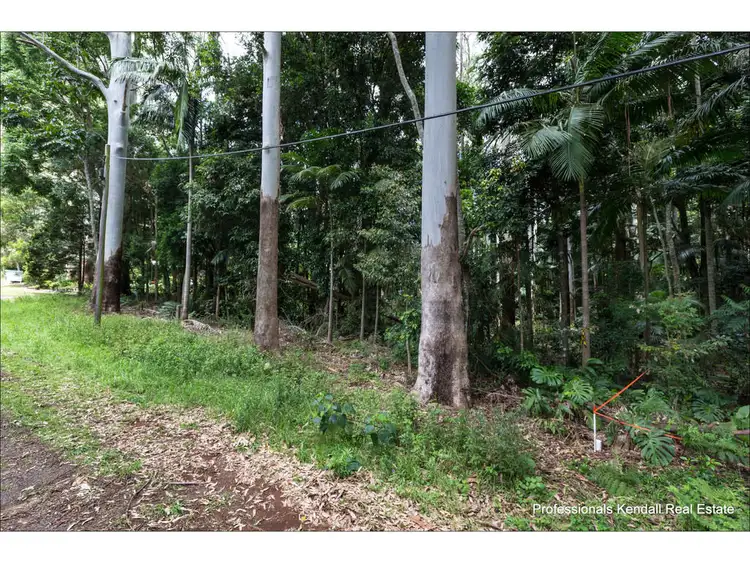 Fifth view of Homely land listing, 9-11 Lahey Road, Tamborine Mountain QLD 4272