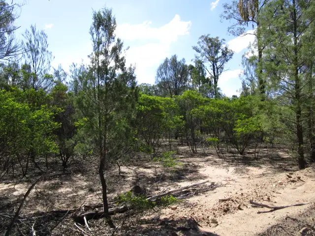 Main view of Homely rural property listing, LOT 123 HARWOODS ROAD, Tara QLD 4421